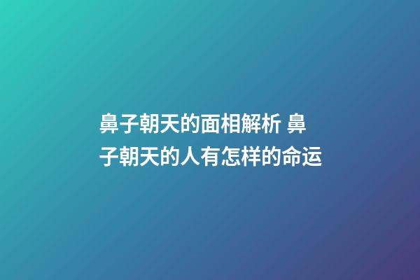 鼻子朝天的面相解析 鼻子朝天的人有怎样的命运